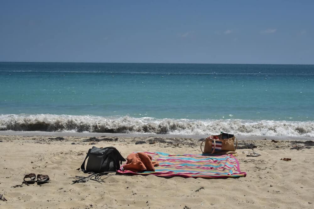 How Long Do Sand Flea Bites Last The Facts You Need to Know 4 How Long Do Sand Flea Bites Last The Facts You Need to Know 4