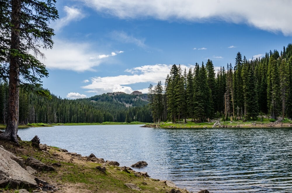 The Top Six Sites for Free Camping in Colorado 2