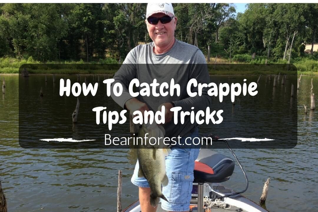 How To Catch Crappie Tips and Tricks