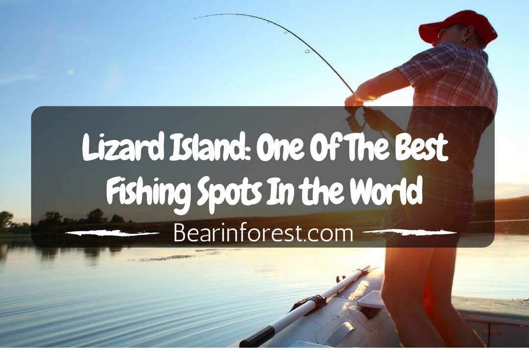 Lizard Island One of the Best Fishing Spots In the World