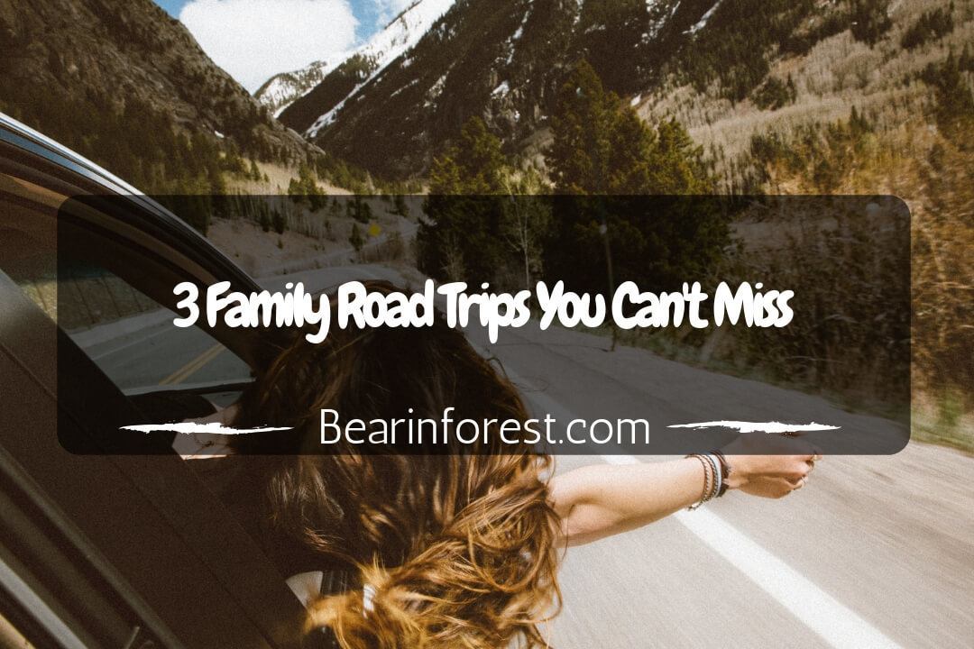3 Family Road Trips You Can't Miss