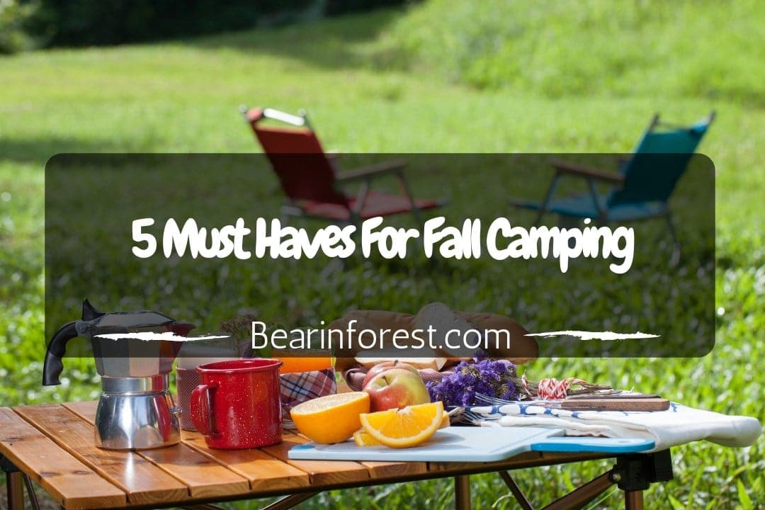 5 Must Haves For Fall Camping