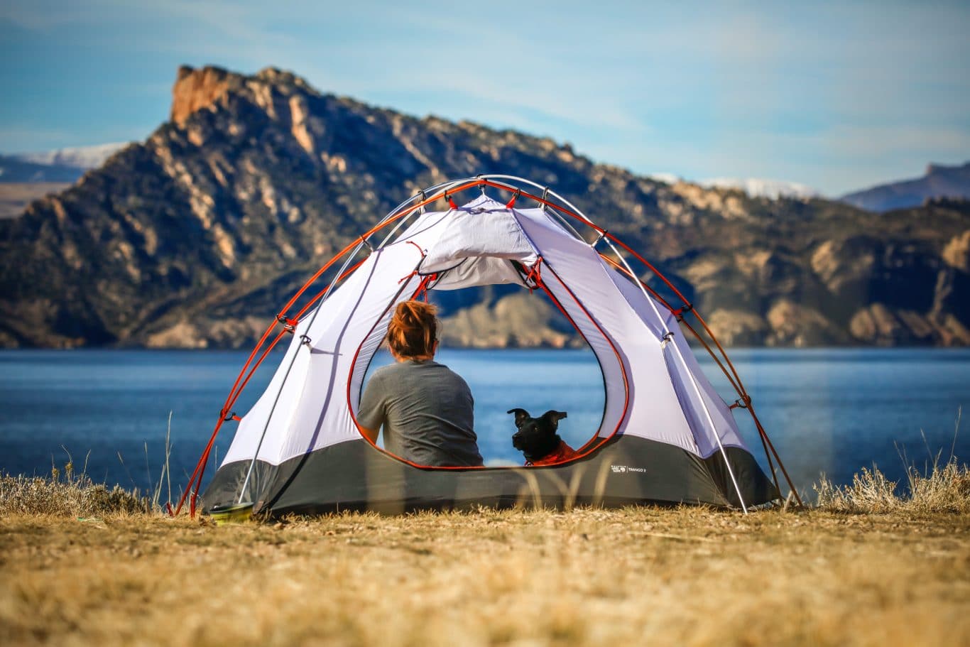 Learn How To Take Dog Camping That Will Make You A Pro 1