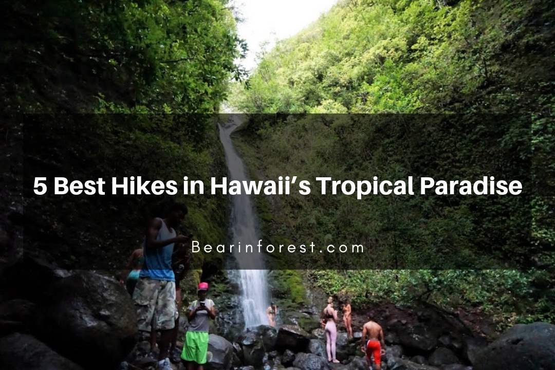 5 Best Hikes in Hawaii’s Tropical Paradise
