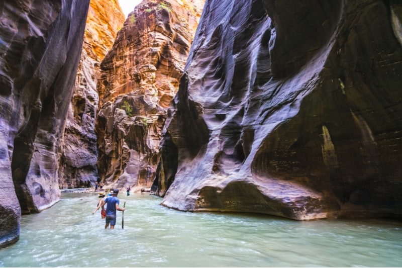 7 Tips to Know Before Visiting Zion National Park 5