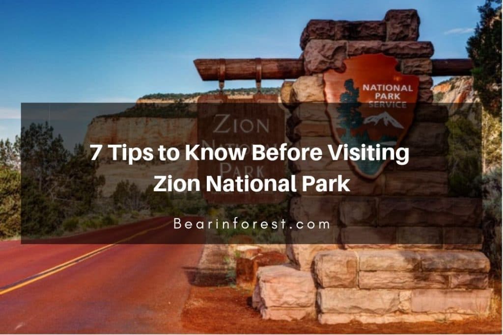 7 Tips to Know Before Visiting Zion National Park - Bearinforest