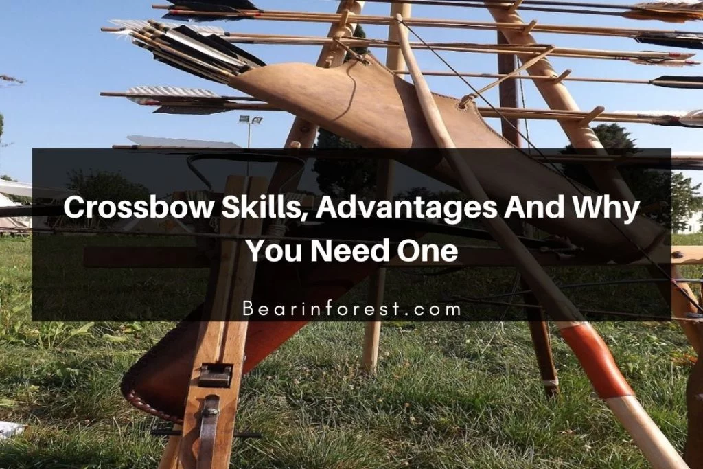 Crossbow Skills, Advantages And Why You Need One Bearinforest