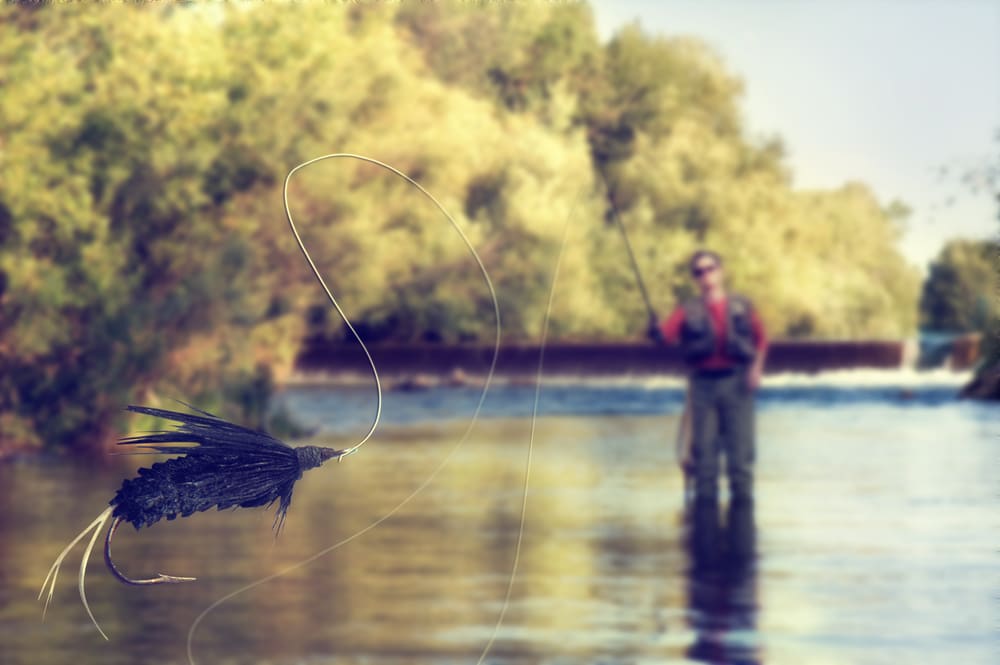 Fly Fishing Essentials: The Ultimate Guide